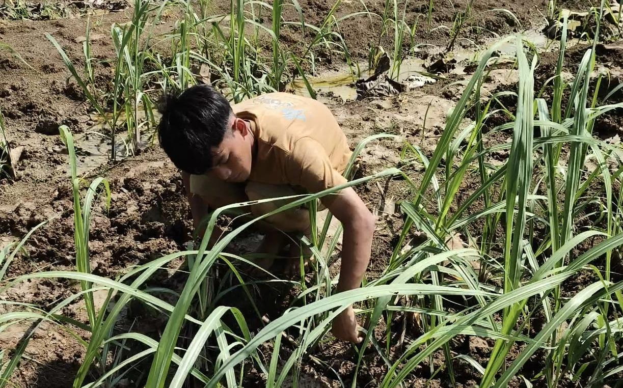 WhatsApp Image 2025 11 08 at 10.35.24