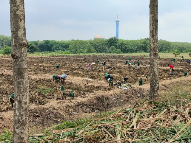 peserta ekstrakurikuler