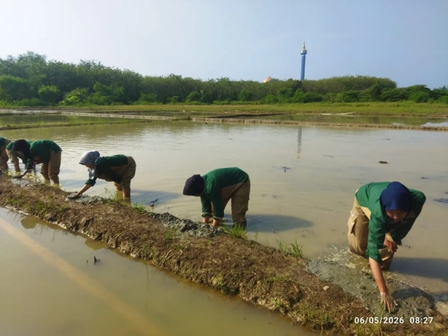 petani milenial