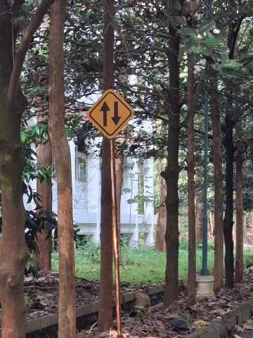 WhatsApp Image 2025 07 10 at 15.18.00 1