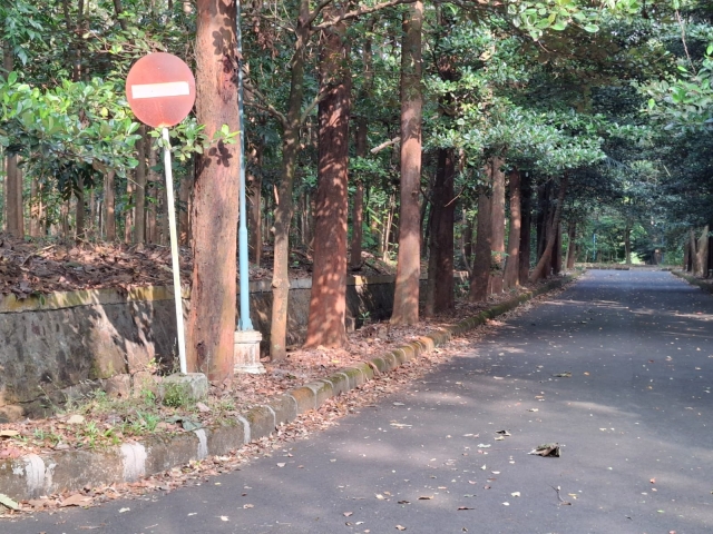 WhatsApp Image 2025 07 10 at 15.18.01 1